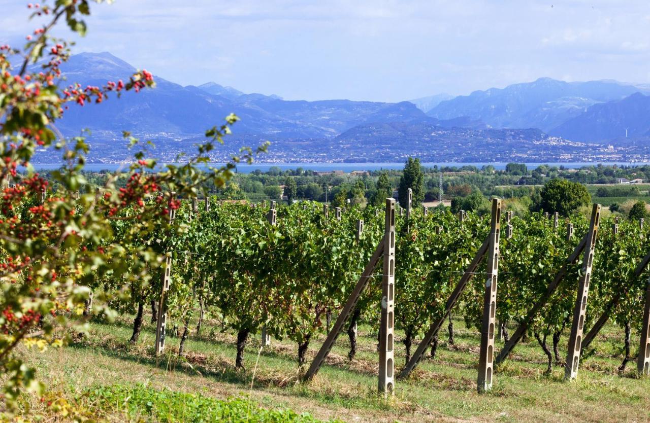 Cobue "Wine Resort & Spa" Pozzolengo Exterior photo