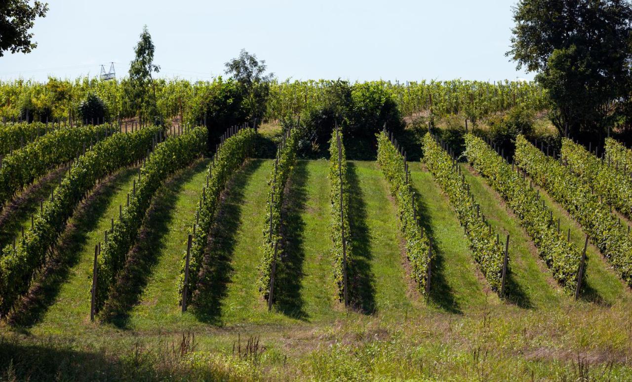 Cobue "Wine Resort & Spa" Pozzolengo Exterior photo